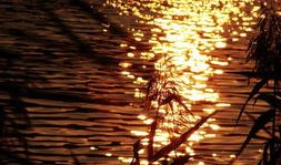 金色印象,探寻璀璨文化底蕴的璀璨之光