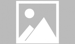 流氓动漫,颠覆传统，挑战审美的视觉盛宴